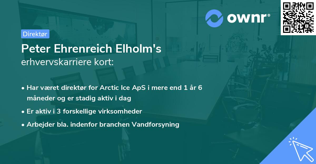 Peter Ehrenreich Elholm's erhvervskarriere kort