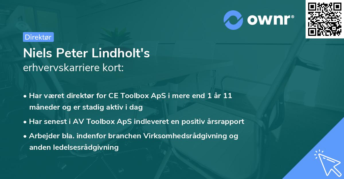 Niels Peter Lindholt's erhvervskarriere kort