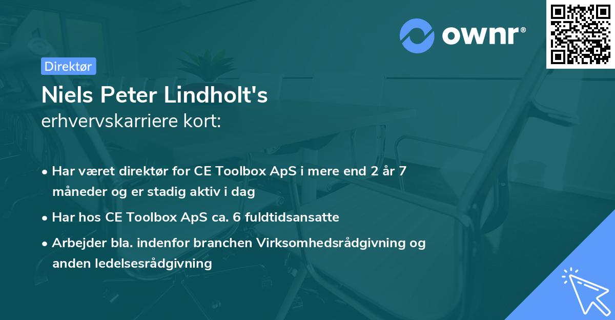 Niels Peter Lindholt's erhvervskarriere kort