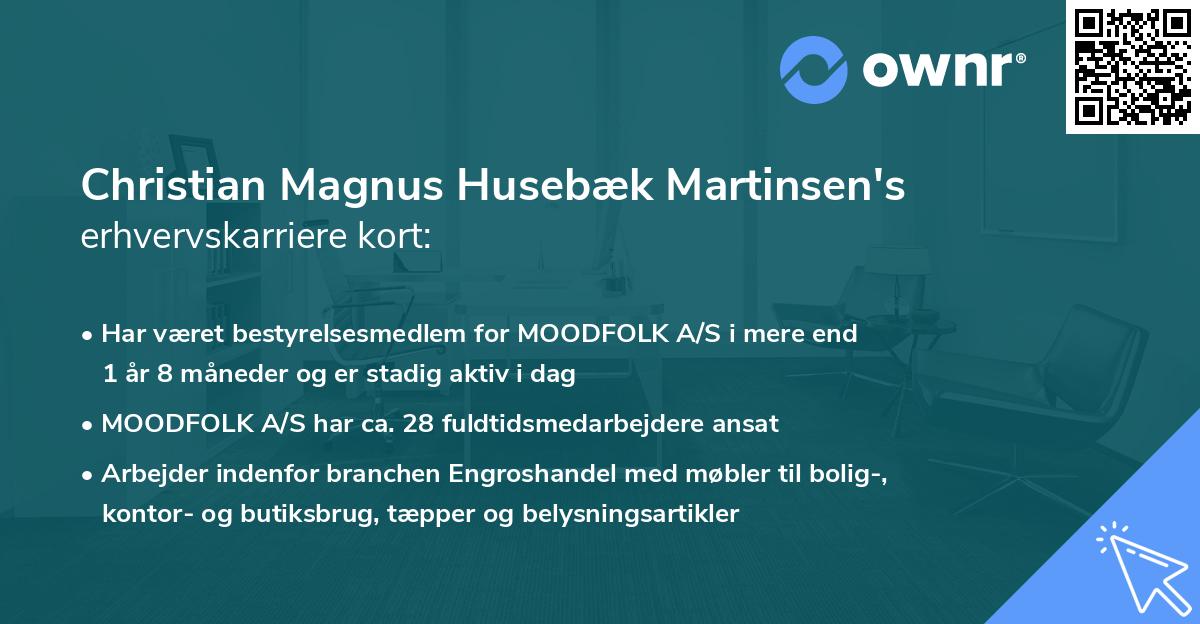 Christian Magnus Husebæk Martinsen's erhvervskarriere kort