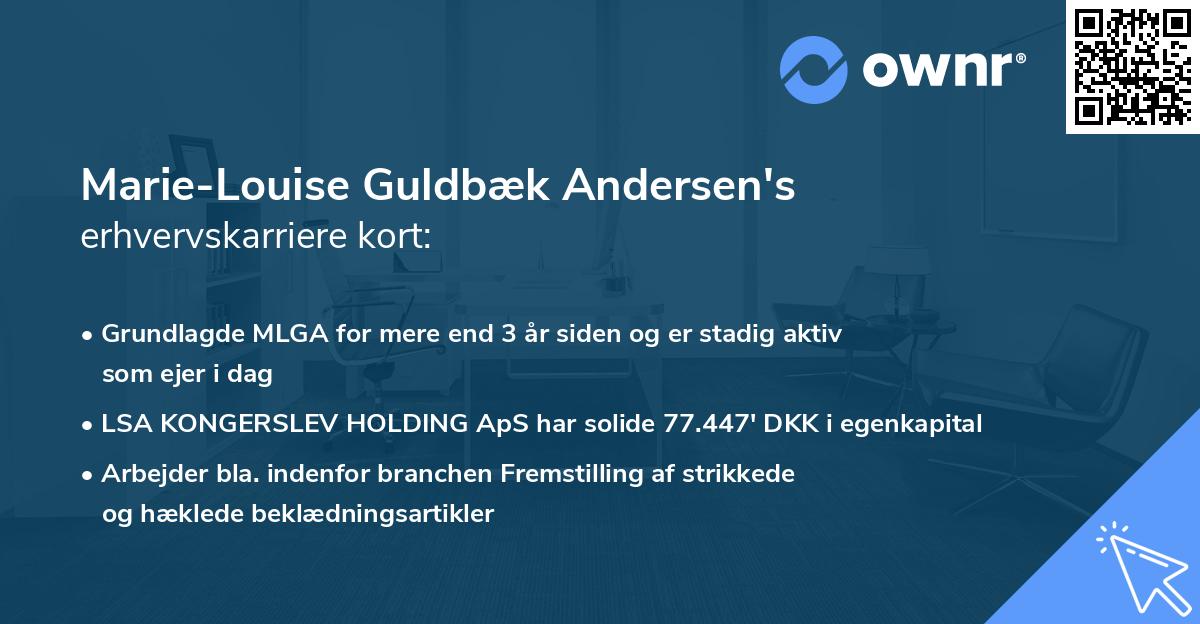 Marie-Louise Guldbæk Andersen's erhvervskarriere kort