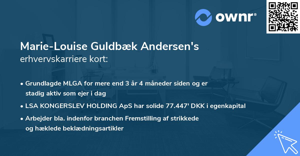 Marie-Louise Guldbæk Andersen's erhvervskarriere kort