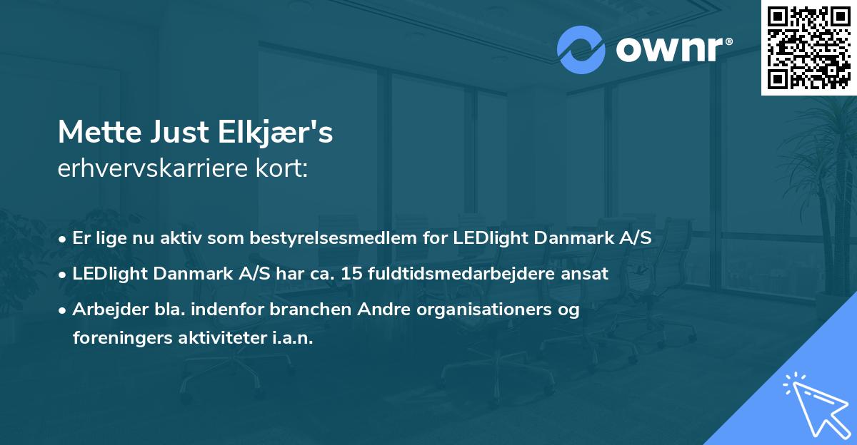 Mette Just Elkjær's erhvervskarriere kort