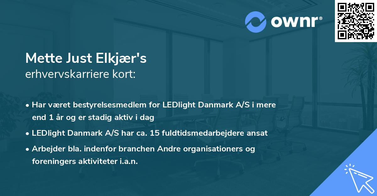 Mette Just Elkjær's erhvervskarriere kort