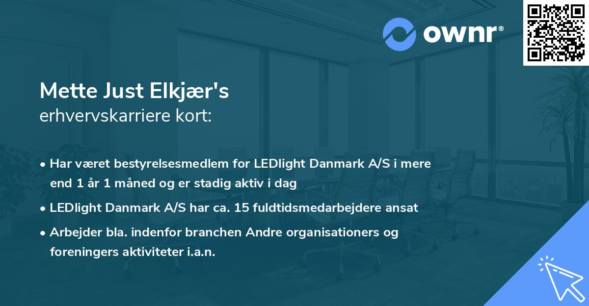 Mette Just Elkjær's erhvervskarriere kort