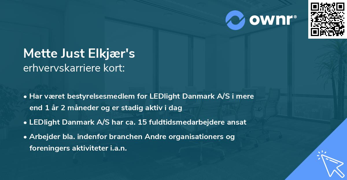 Mette Just Elkjær's erhvervskarriere kort