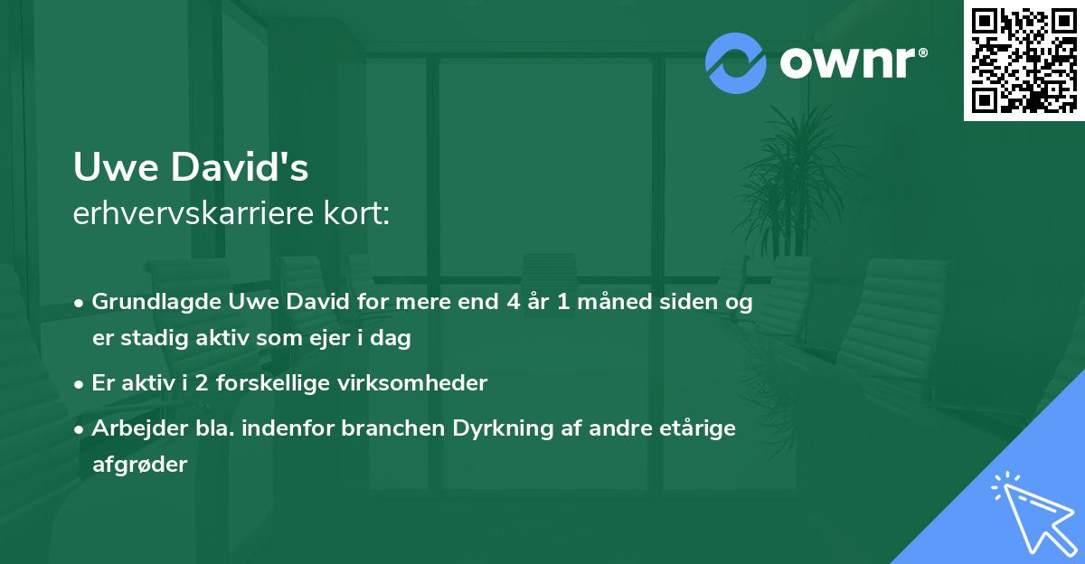 Uwe David's erhvervskarriere kort