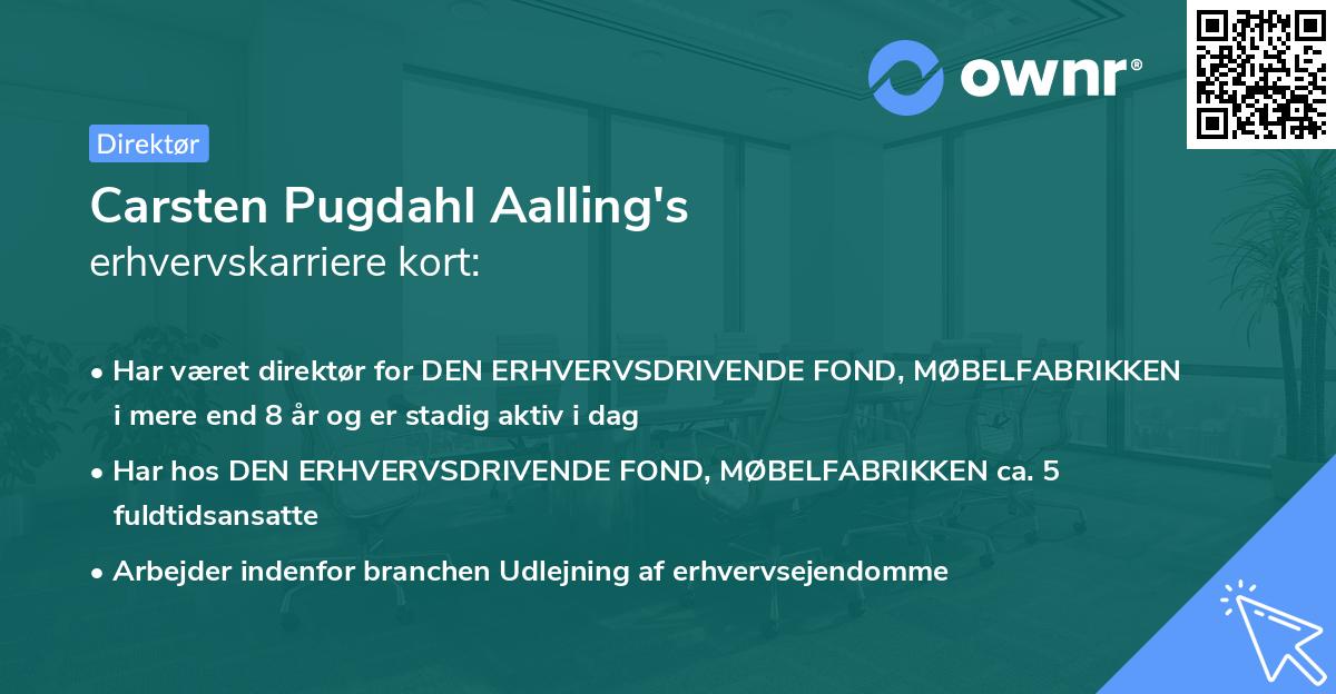 Carsten Pugdahl Aalling's erhvervskarriere kort