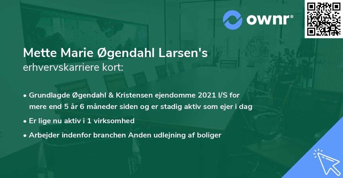Mette Marie Øgendahl Larsen's erhvervskarriere kort