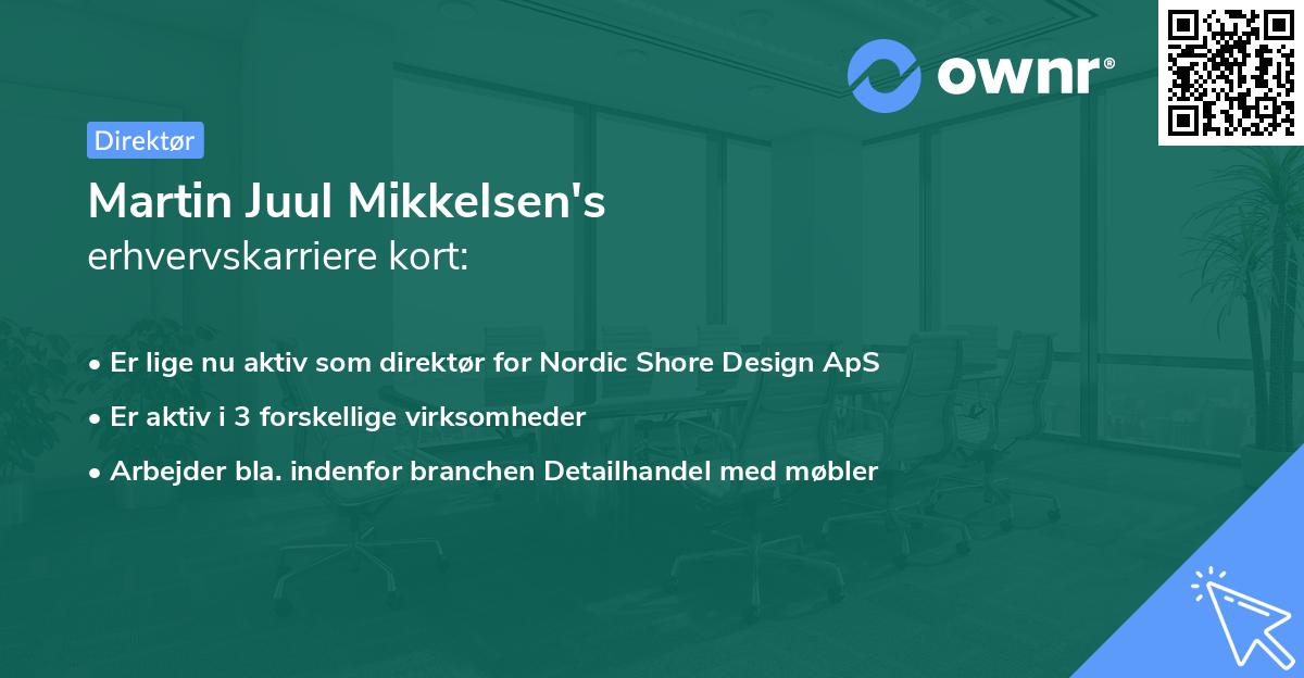 Martin Juul Mikkelsen's erhvervskarriere kort