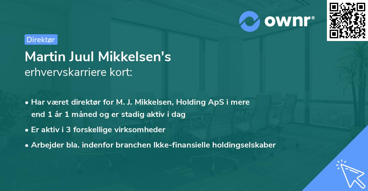 Martin Juul Mikkelsen's erhvervskarriere kort