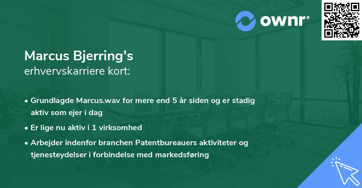 Marcus Bjerring's erhvervskarriere kort