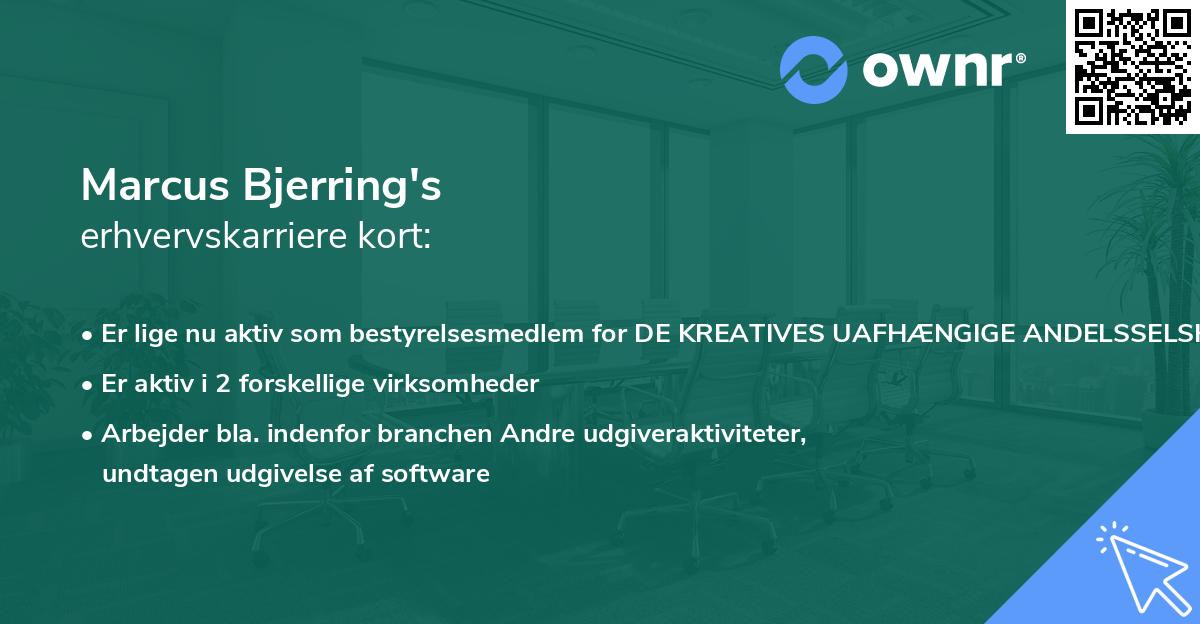 Marcus Bjerring's erhvervskarriere kort
