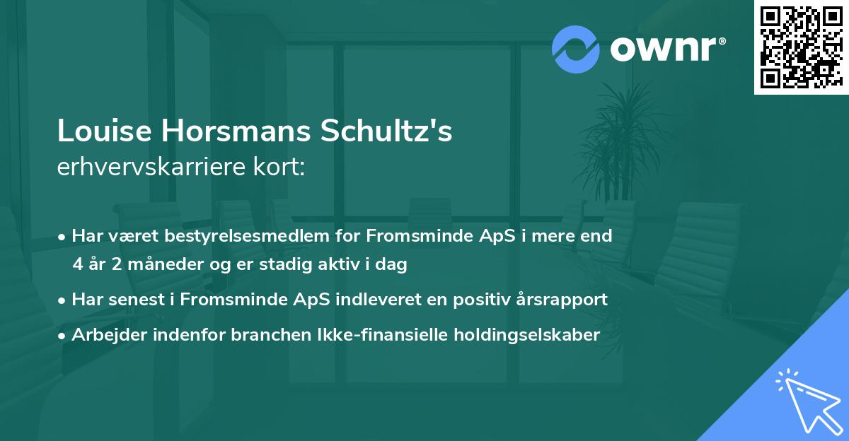 Louise Horsmans Schultz's erhvervskarriere kort