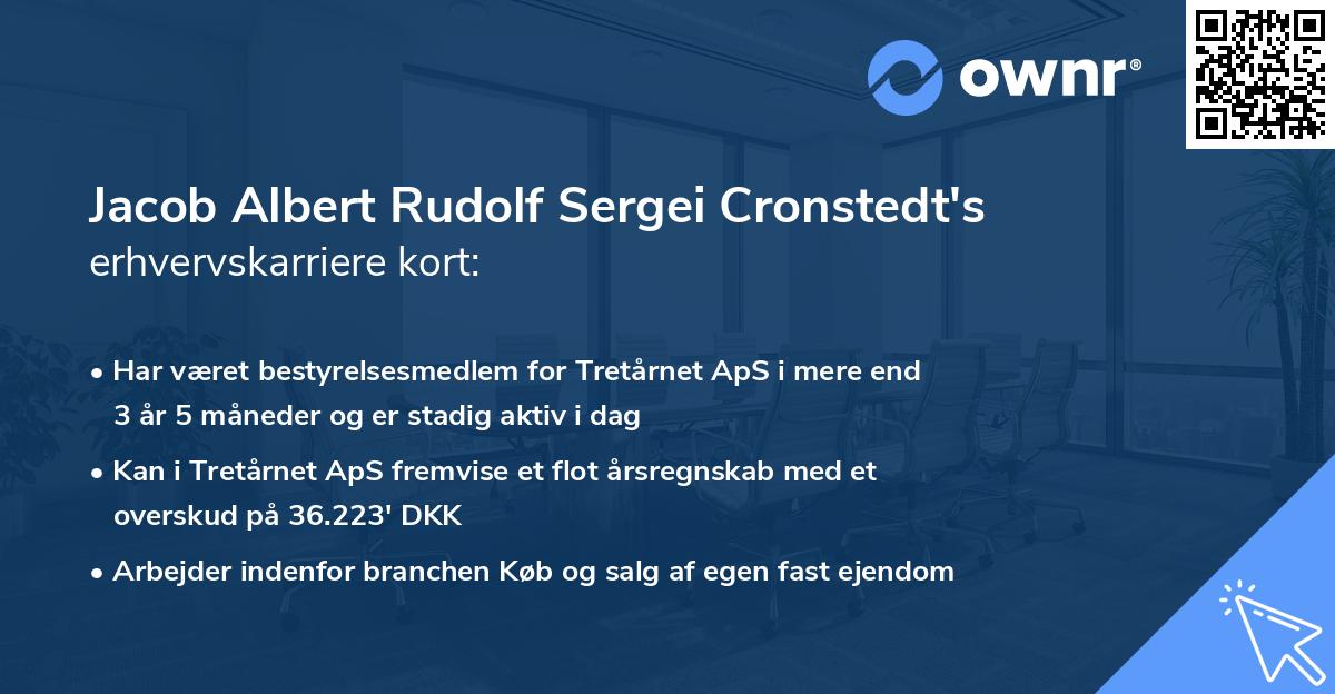 Jacob Albert Rudolf Sergei Cronstedt's erhvervskarriere kort