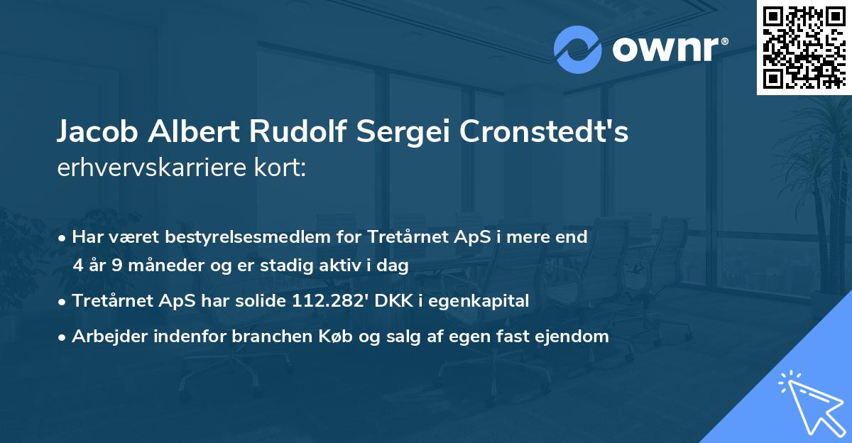 Jacob Albert Rudolf Sergei Cronstedt's erhvervskarriere kort