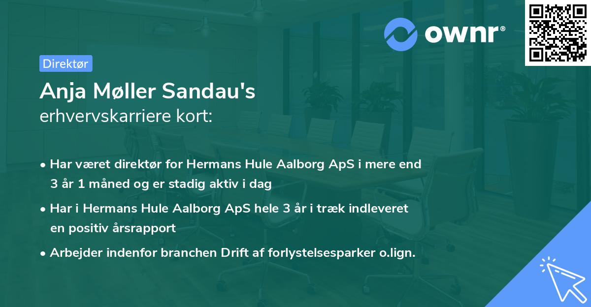 Anja Møller Sandau's erhvervskarriere kort