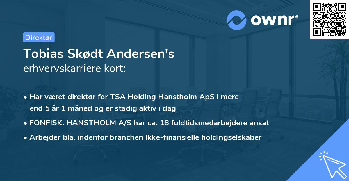 Tobias Skødt Andersen's erhvervskarriere kort