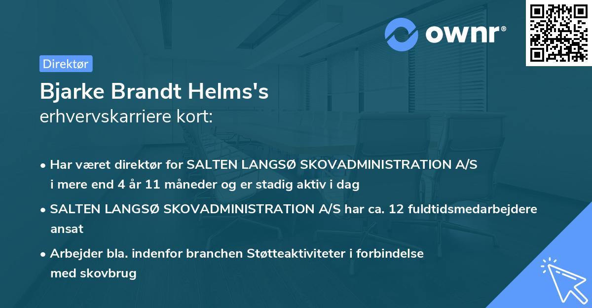 Bjarke Brandt Helms's erhvervskarriere kort
