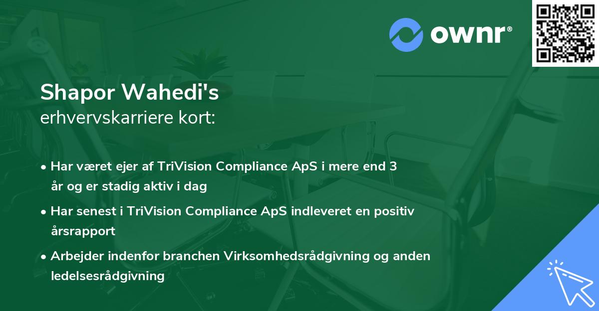 Shapor Wahedi's erhvervskarriere kort