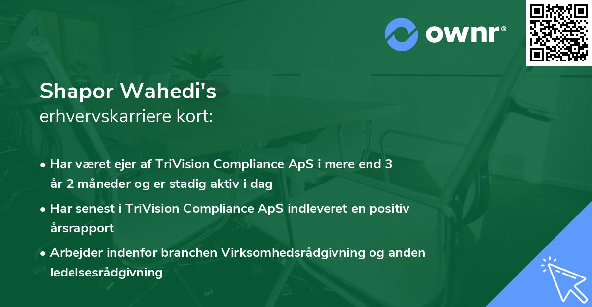 Shapor Wahedi's erhvervskarriere kort