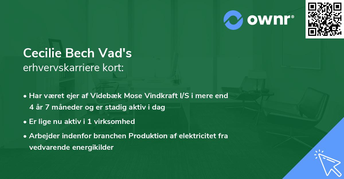 Cecilie Bech Vad's erhvervskarriere kort