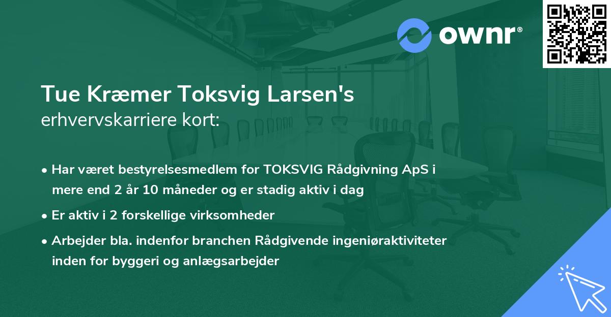 Tue Kræmer Toksvig Larsen's erhvervskarriere kort