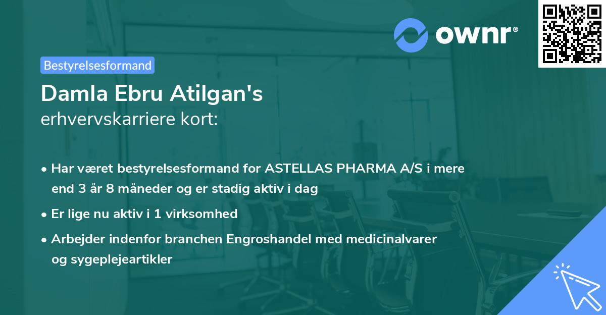 Damla Ebru Atilgan's erhvervskarriere kort