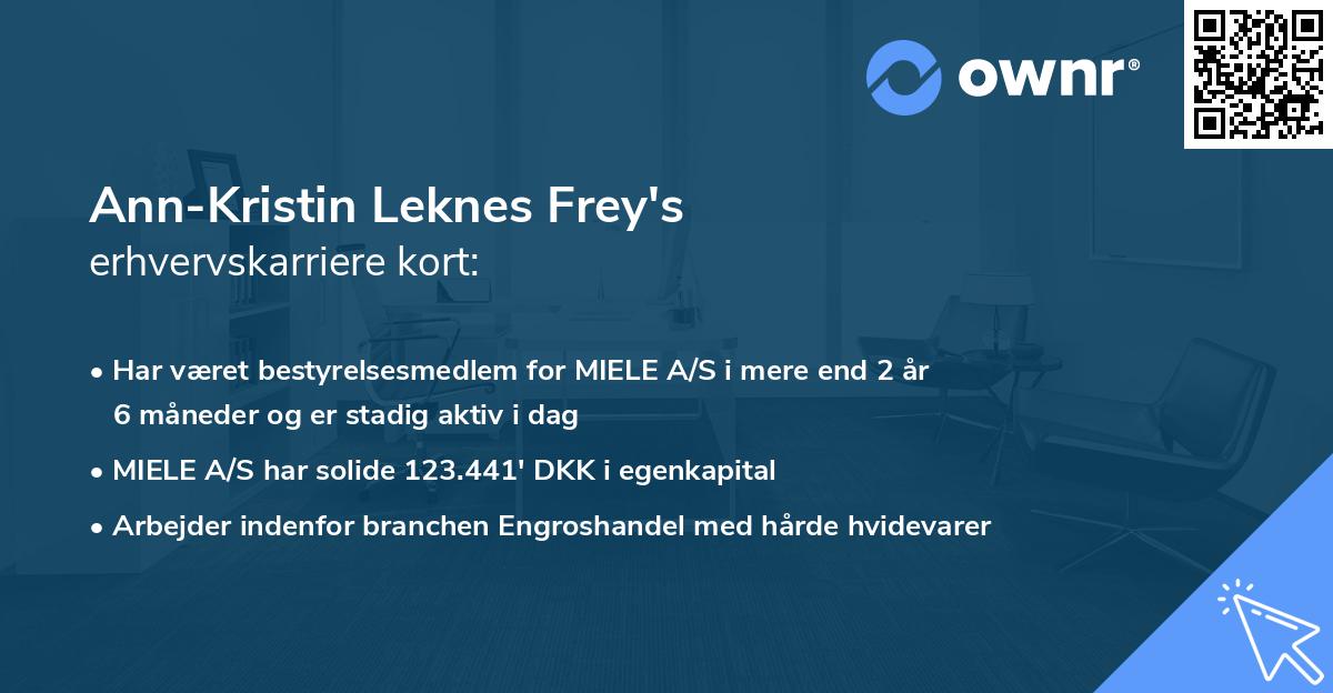 Ann-Kristin Leknes Frey's erhvervskarriere kort