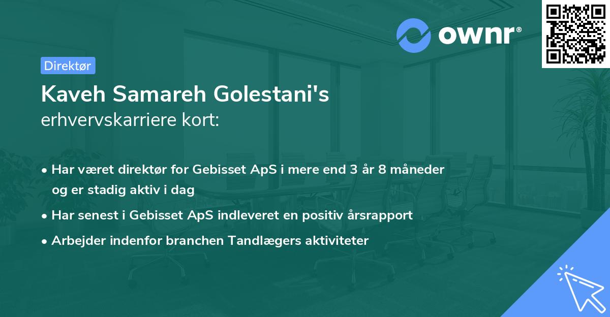 Kaveh Samareh Golestani's erhvervskarriere kort