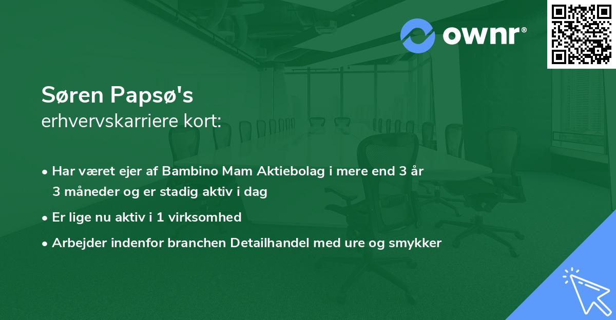 Søren Papsø's erhvervskarriere kort