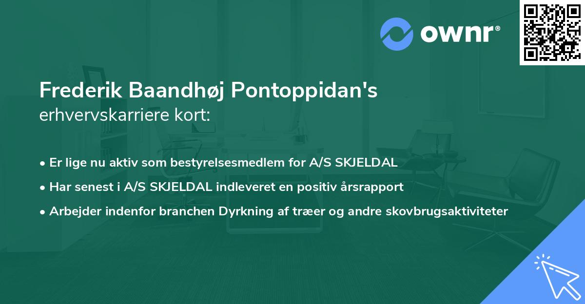 Frederik Baandhøj Pontoppidan's erhvervskarriere kort