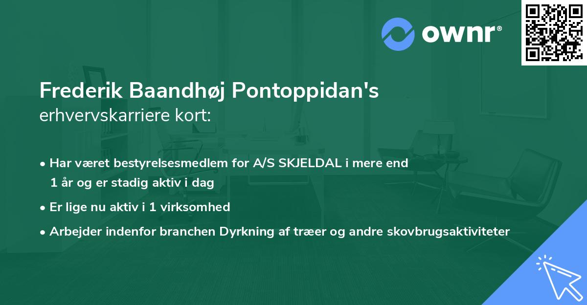 Frederik Baandhøj Pontoppidan's erhvervskarriere kort