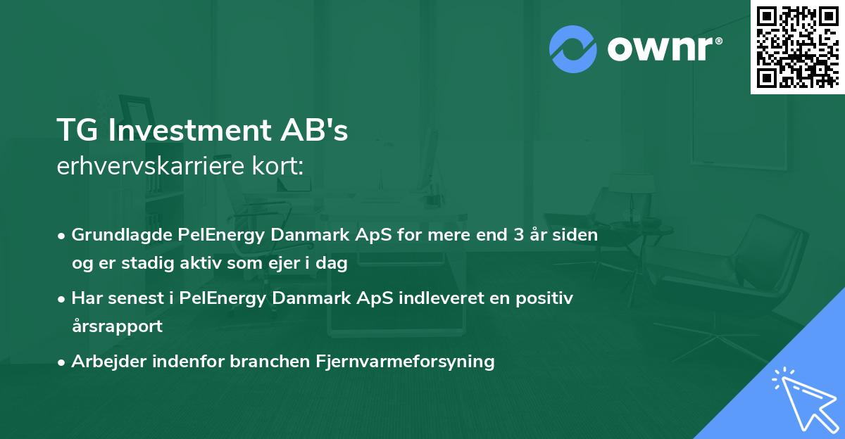 TG Investment AB's erhvervskarriere kort