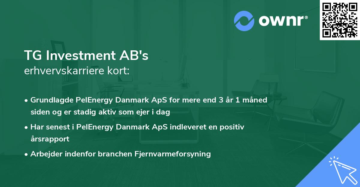 TG Investment AB's erhvervskarriere kort