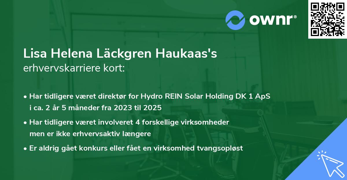 Lisa Helena Läckgren Haukaas's erhvervskarriere kort