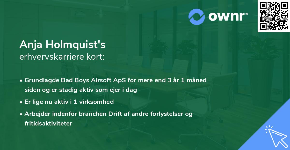Anja Holmquist's erhvervskarriere kort
