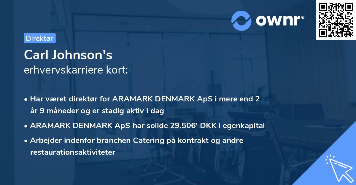 Carl Johnson's erhvervskarriere kort