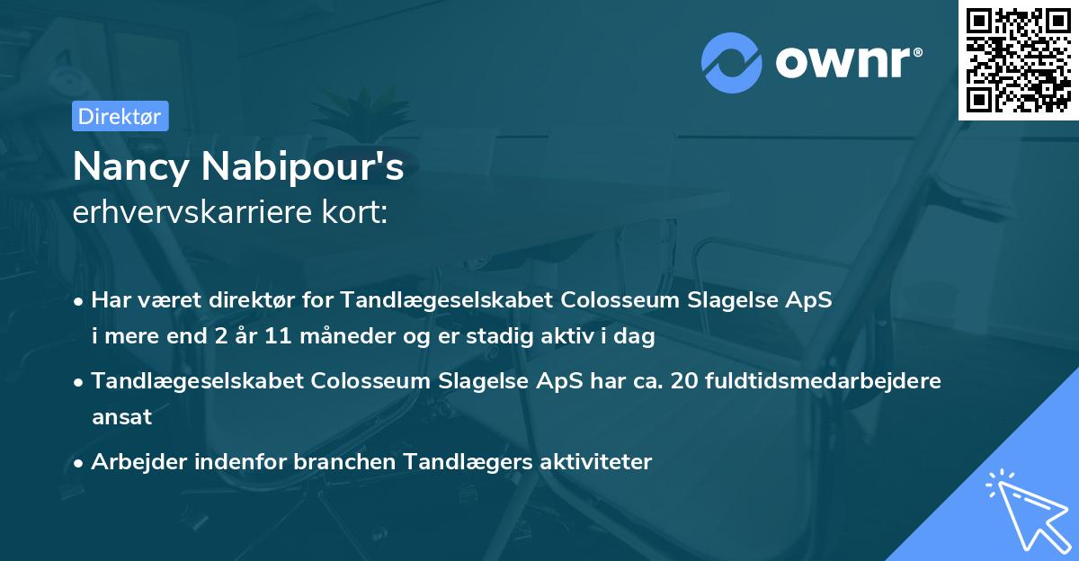 Nancy Nabipour's erhvervskarriere kort