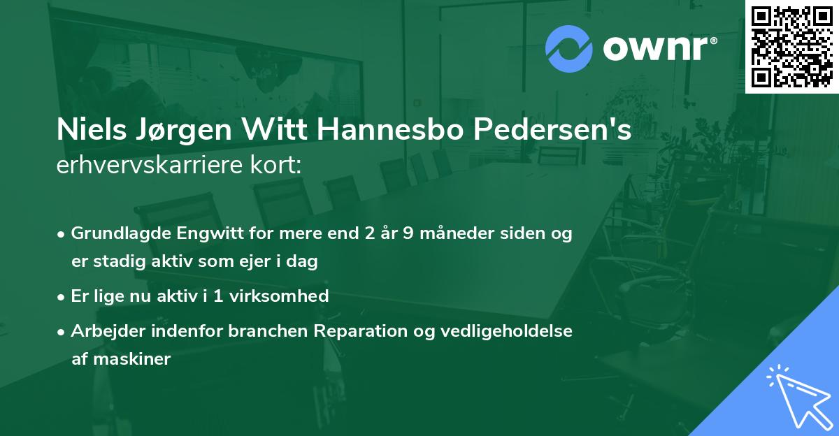 Niels Jørgen Witt Hannesbo Pedersen's erhvervskarriere kort