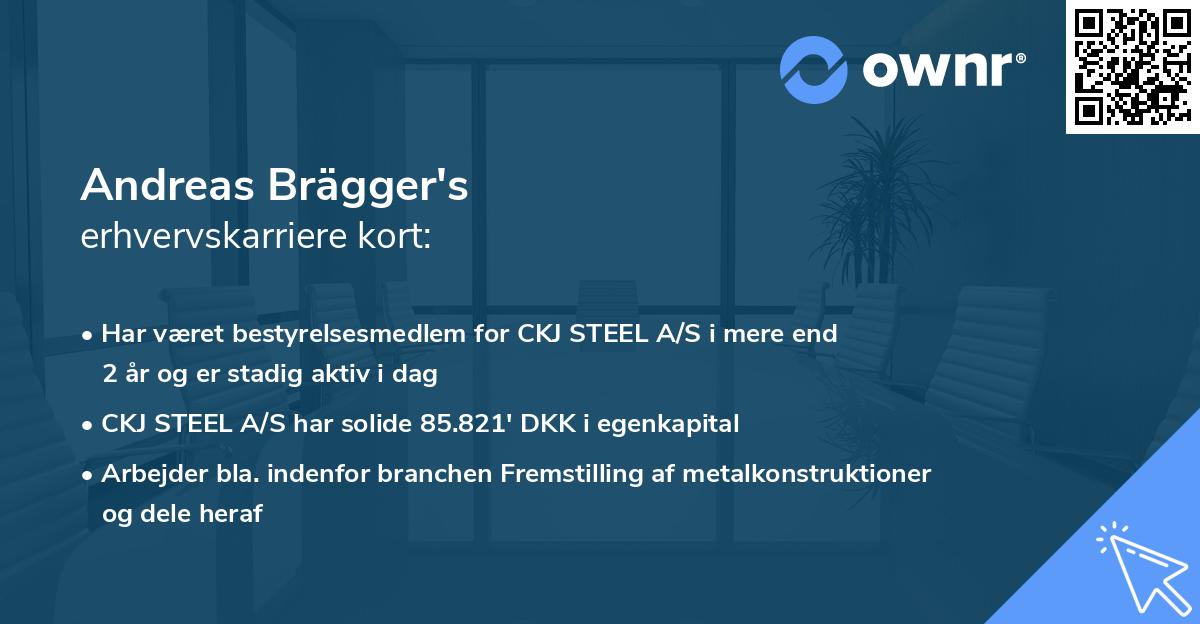 Andreas Brägger's erhvervskarriere kort