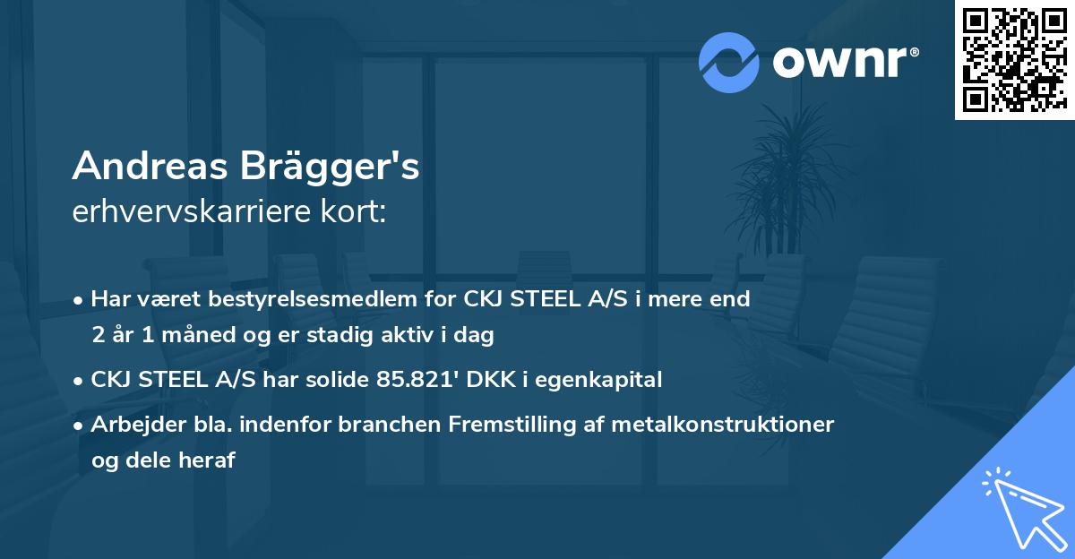 Andreas Brägger's erhvervskarriere kort