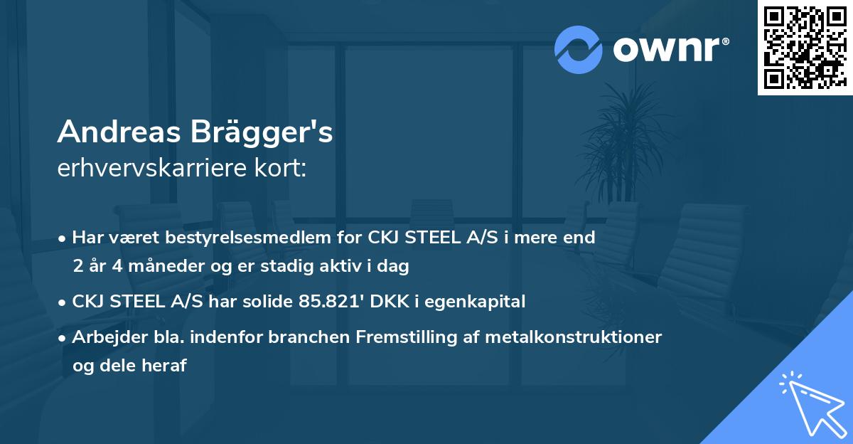 Andreas Brägger's erhvervskarriere kort