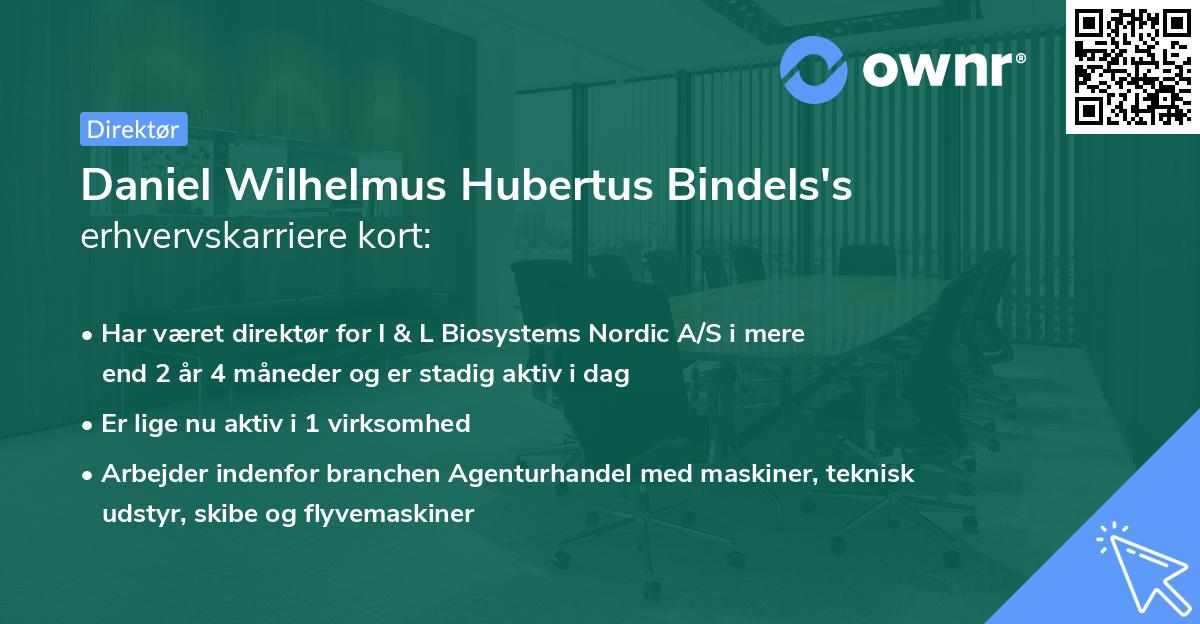 Daniel Wilhelmus Hubertus Bindels's erhvervskarriere kort