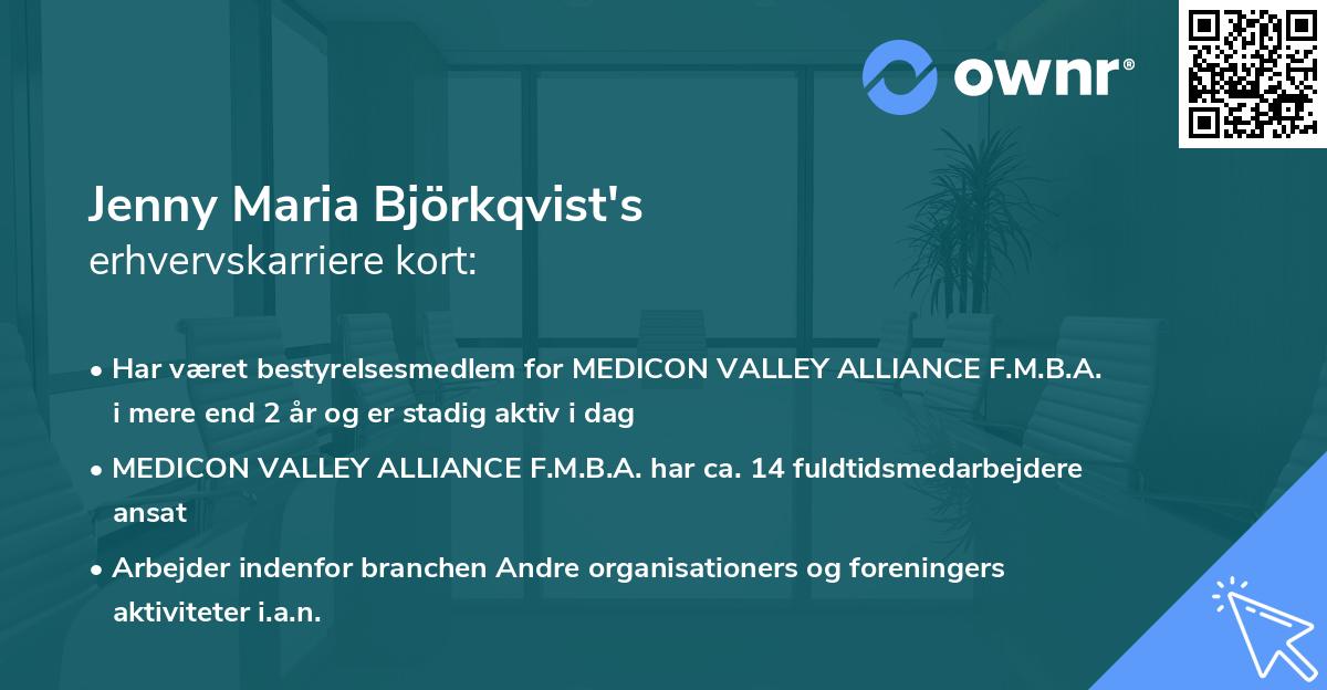 Jenny Maria Björkqvist's erhvervskarriere kort