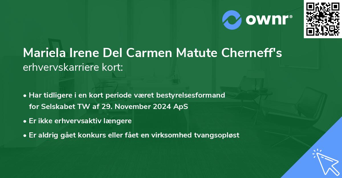 Mariela Irene Del Carmen Matute Cherneff's erhvervskarriere kort