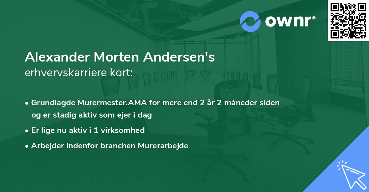 Alexander Morten Andersen's erhvervskarriere kort