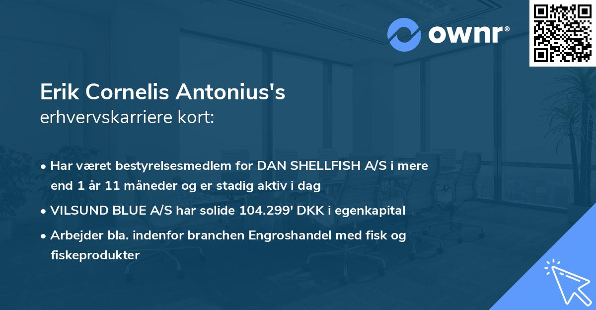 Erik Cornelis Antonius's erhvervskarriere kort