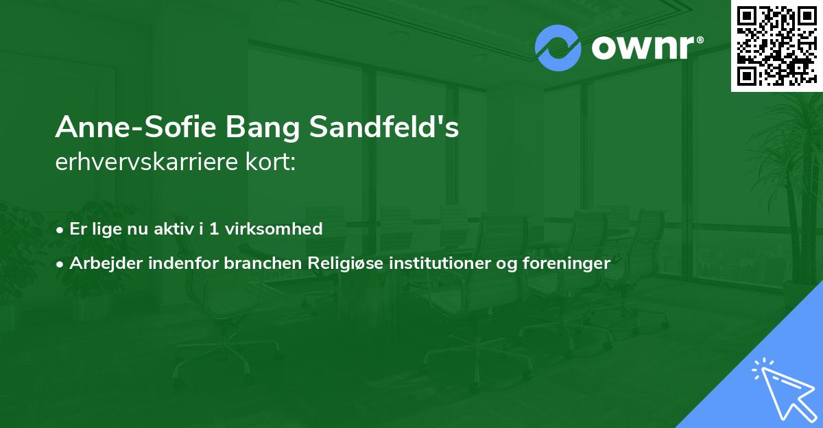 Anne-Sofie Bang Sandfeld's erhvervskarriere kort