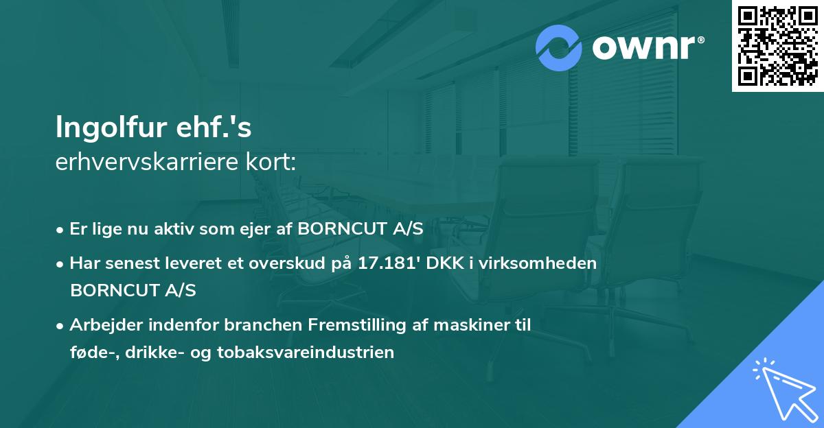 Ingolfur ehf.'s erhvervskarriere kort